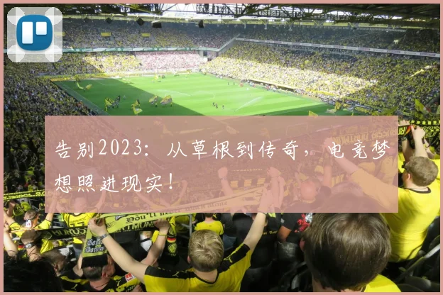 告别2023：从草根到传奇，电竞梦想照进现实！