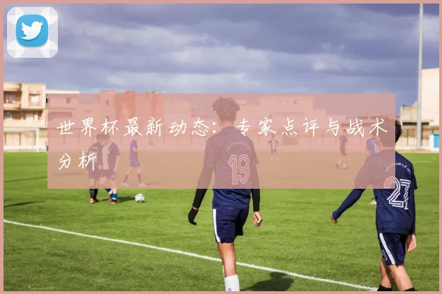世界杯最新动态：专家点评与战术分析