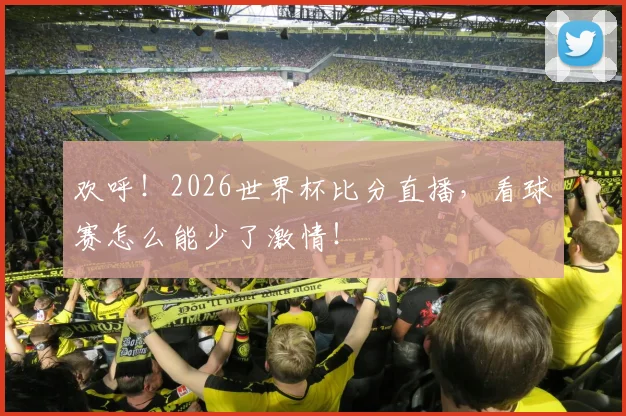 欢呼！2026世界杯比分直播，看球赛怎么能少了激情！