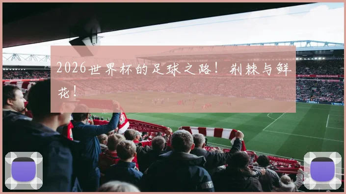 2026世界杯的足球之路！荆棘与鲜花！