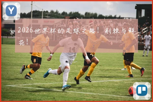 2026世界杯的足球之路！荆棘与鲜花！