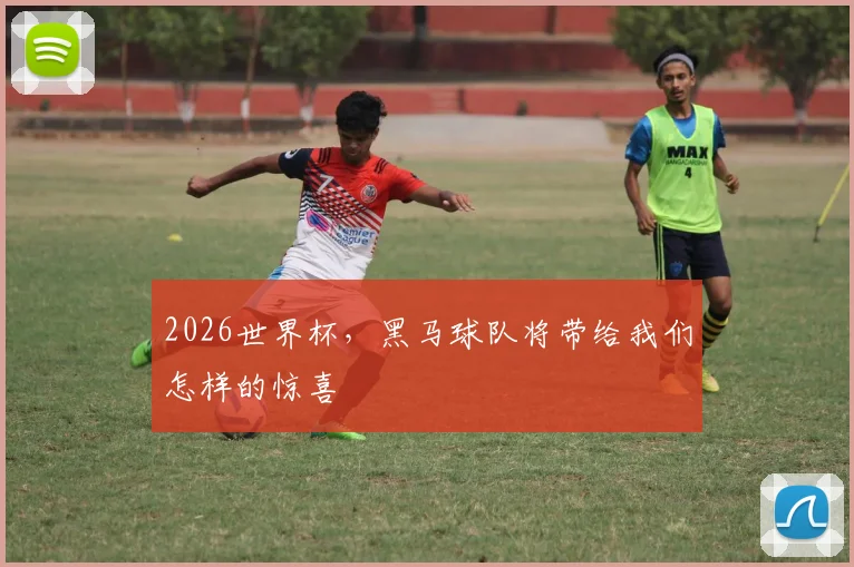 2026世界杯,黑马球队将带给我们怎样的惊喜